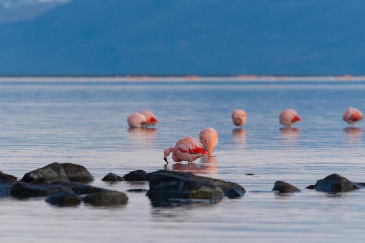 Hotel Las Dunas El Calafate Dış mekan fotoğraf
